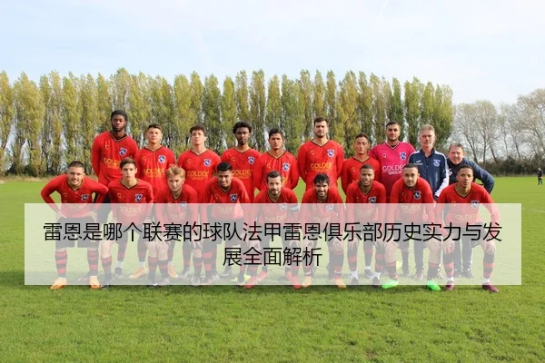 lei-en-shi-na-ge-lian-sai-de-qiu-dui-fa-jia-lei-en-ju-le-bu-li-shi-shi-li-yu-fa-zhan-quan-mian-jie-xi-2-916.jpg