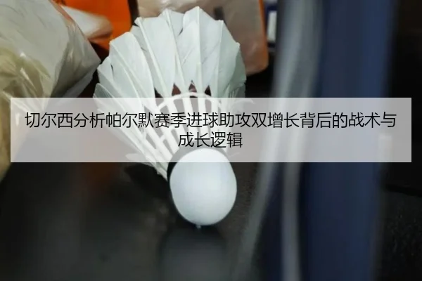 切尔西分析帕尔默赛季进球助攻双增长背后的战术与成长逻辑